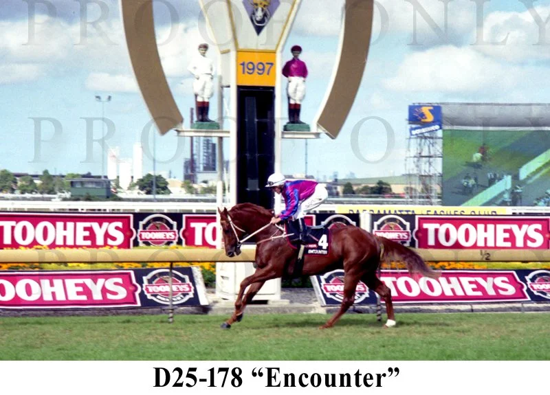 D25-178 Encounter.jpg