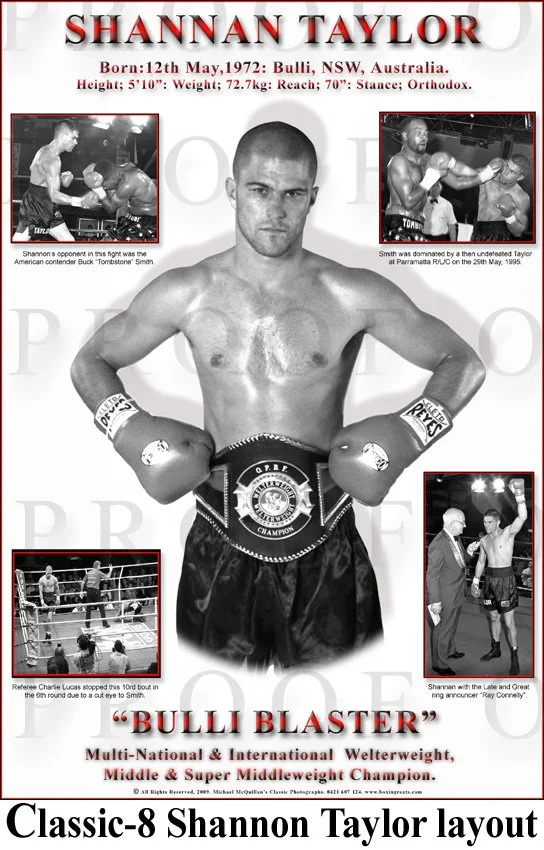 Shannan Taylor Layout-3 copy.jpg