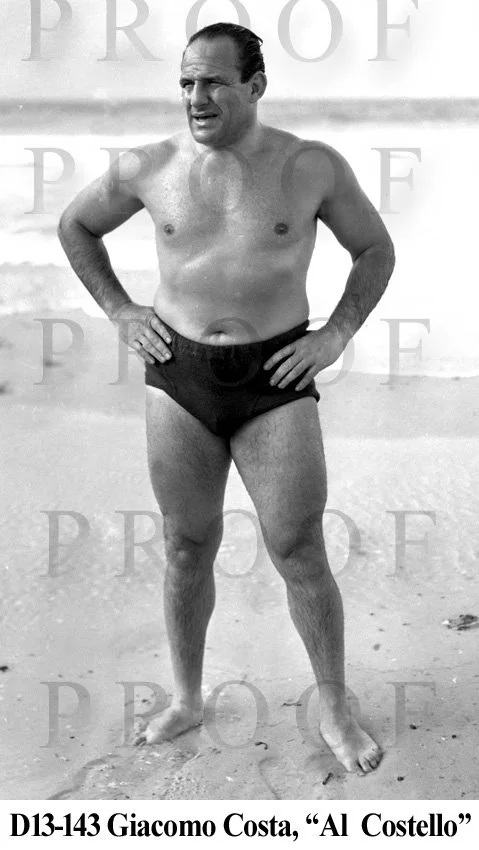 D13-143  Al Costello.jpg