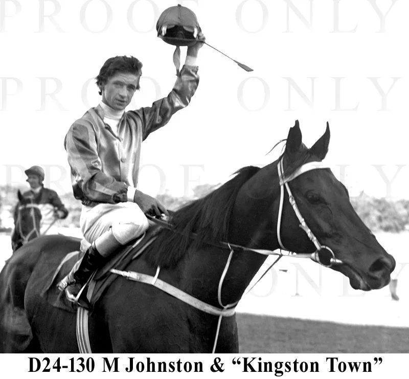 D24-130 Kingston Town cropped.jpg