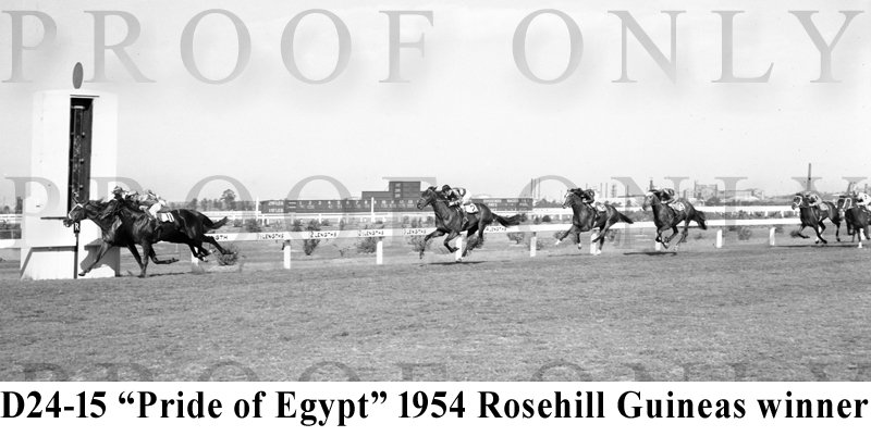 D24-15 Rosehill Guineas 1954.Pride of Egypt.jpg