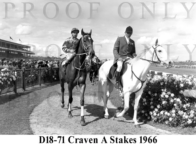 D18- 71 Craven A Stakes 1966.jpg