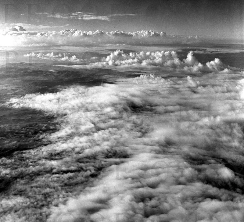 D22-3 Northern Territory 1971