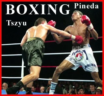 D30-80 Kosta Tszyu v's Pineda BC copy.jpg