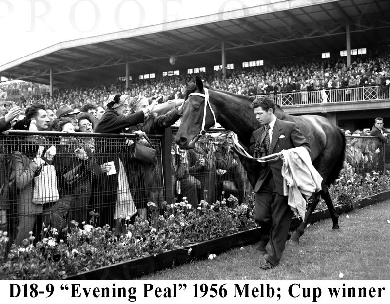 D18- 9 Evening Peal 1956 Melb Cup winner.jpg