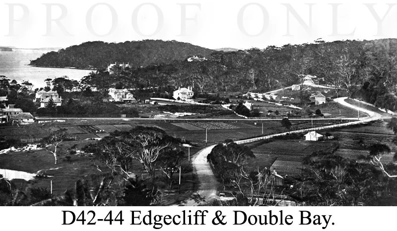 Old Sydney Edgecliff Double Bay D42-44.jpg