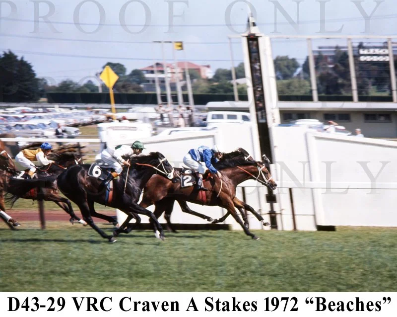 Craven A Stakes Beaches D43-29.jpg