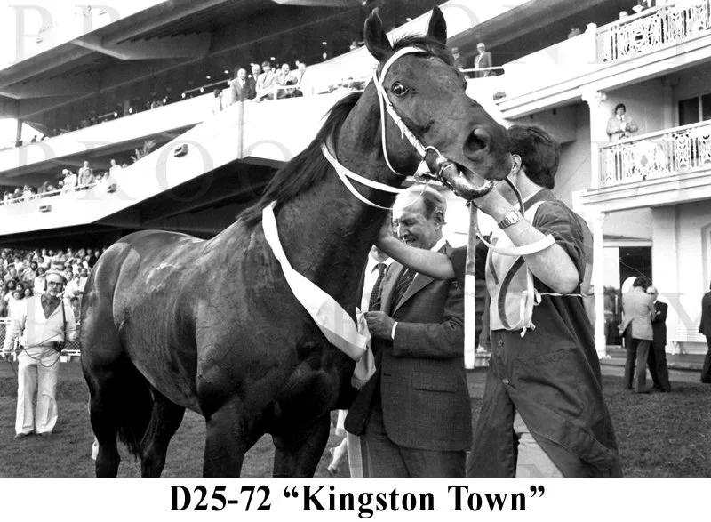 D25-72 Kingston Town.jpg