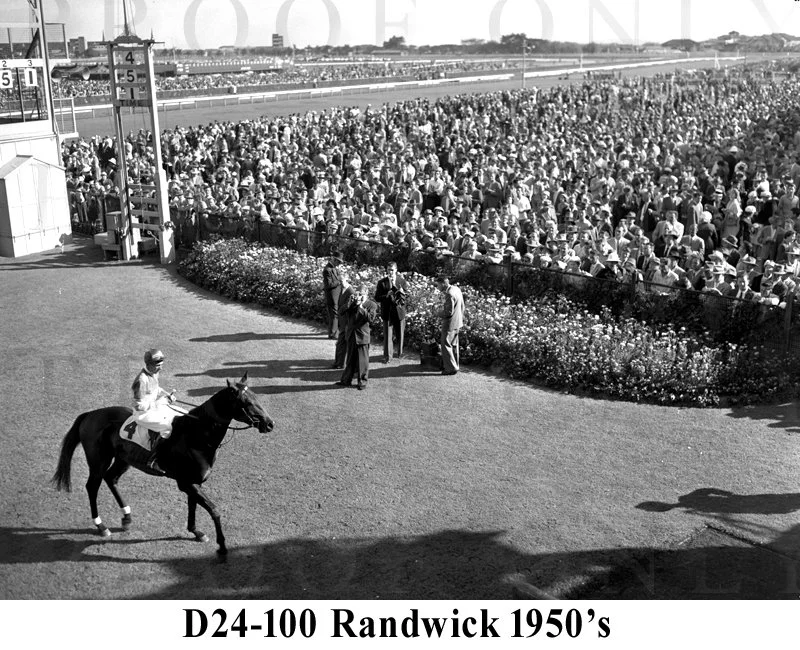 D24-100 Randwick 1950's.jpg