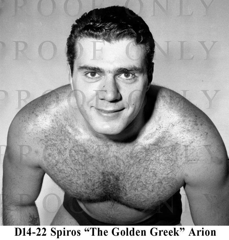 D14-22 Spiros Arion.jpg
