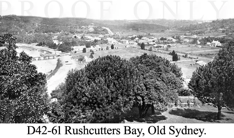 Old Sydney Rushcutterts Bay D42-61.jpg