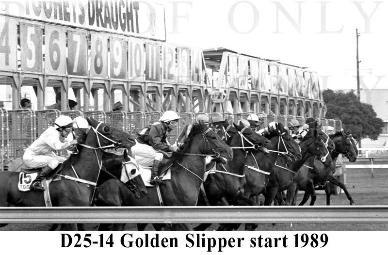 D25-14 Golden Slipper 1989.jpg