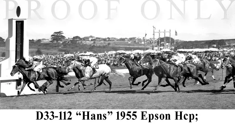 Epsom Hcp 1955 winner Hans D33-112.jpg