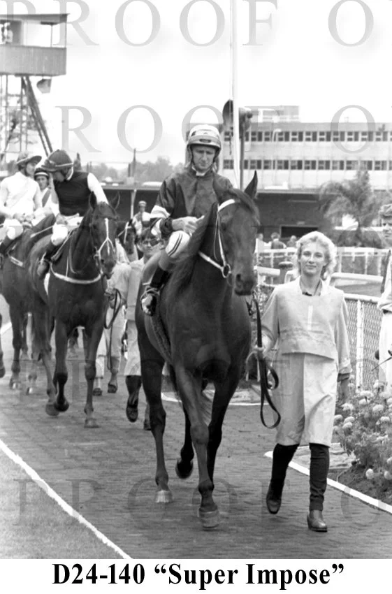 D24-140 Super Impose copy.jpg