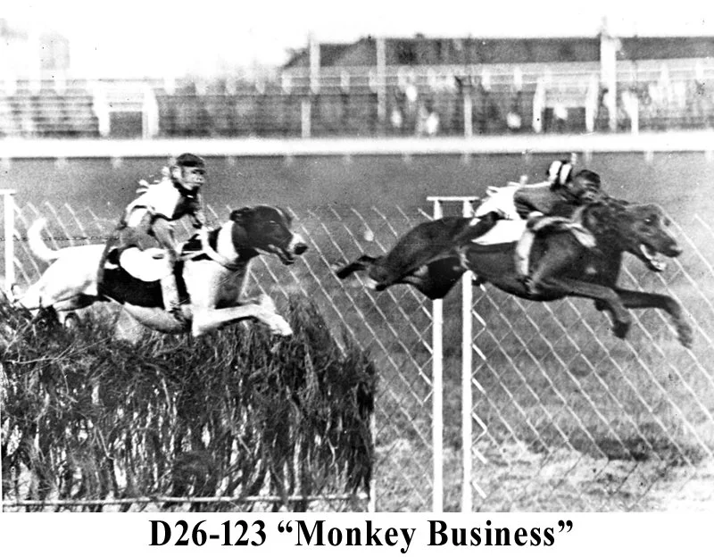 D26-123 Monkey Business.jpg