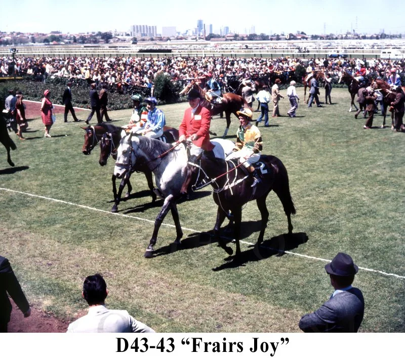 Frairs Joy D43-43.jpg