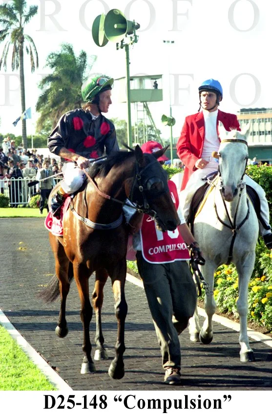 D25-148 Compulsion.jpg