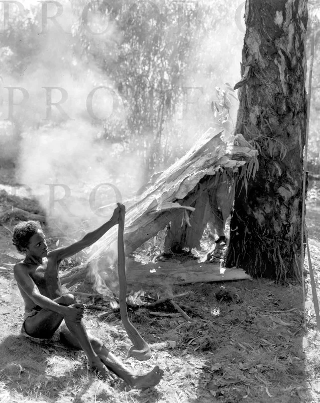 D27-4 Arnham Land Tree