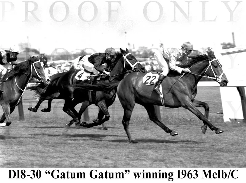 D18- 30 Gatum Gatum wins 1963 Melb Cup.jpg