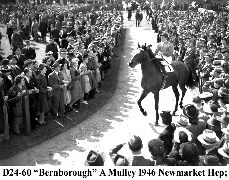 D24-60 Bernborough Newmarket 1946.jpg
