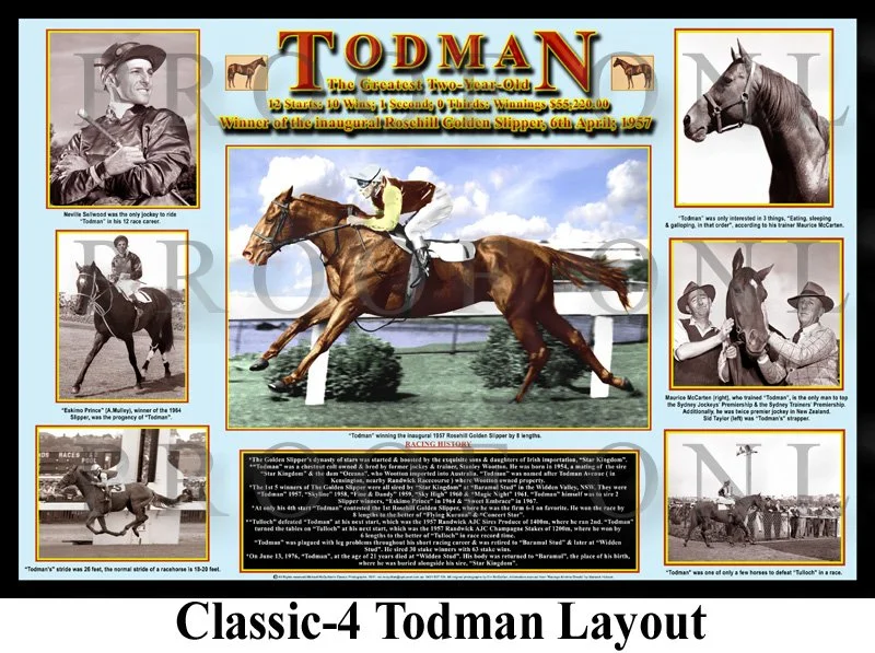 Todman Layout 600mm.psd.jpg