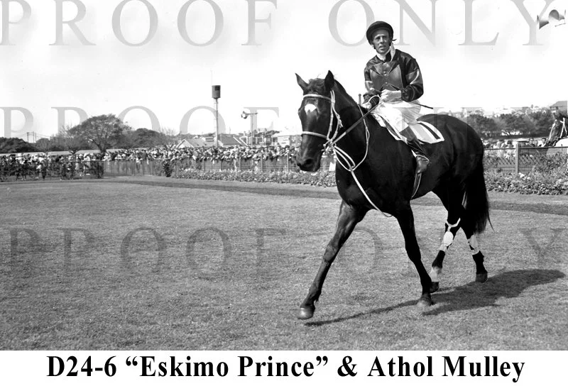 D24-6 Eskimo Prince.jpg