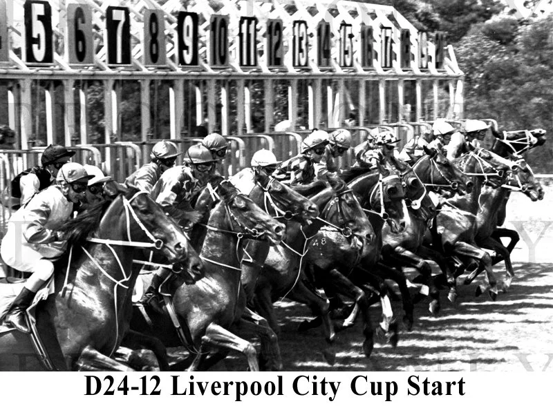 D24-12 Liverpool City Cup.jpg