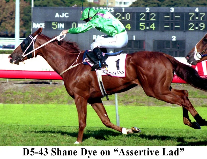 D5-43 Assertive Lad & Dye.jpg