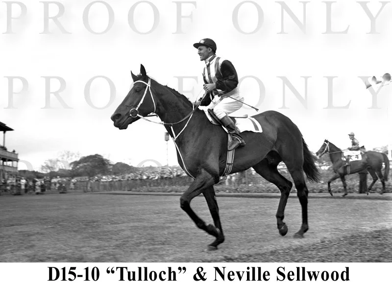 D15- 10 N. Sellwood & Tulloch.jpg