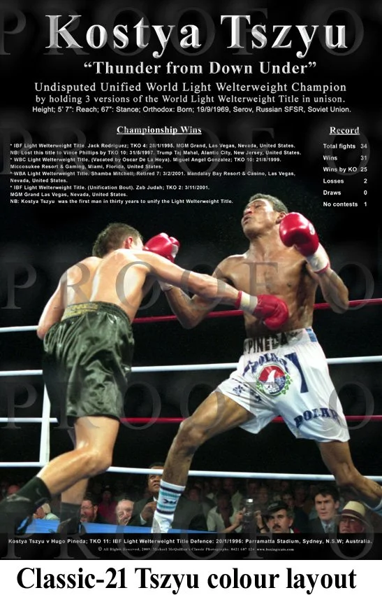 Kostya Tszyu Color Layout copy.jpg