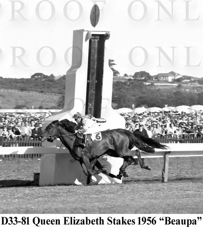 Queen Elizabeth Stakes 1956 D33-81.jpg