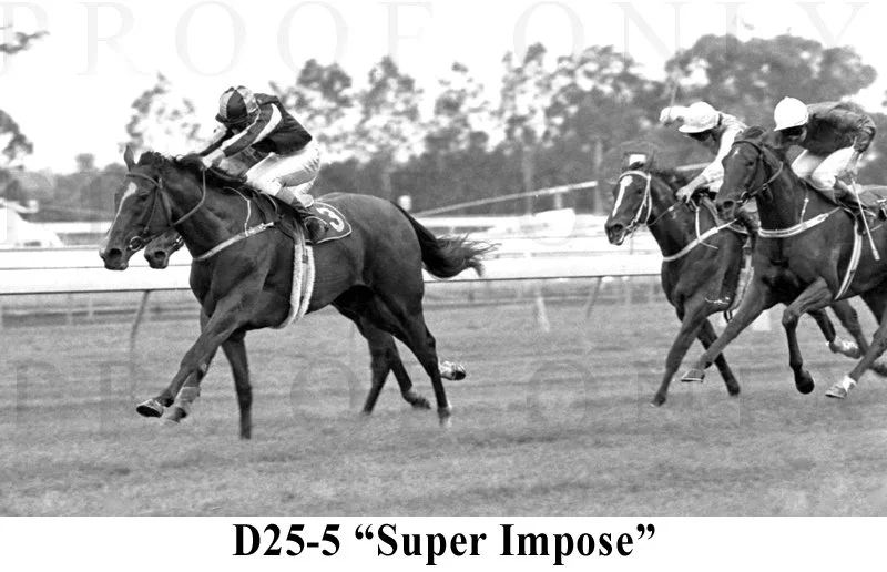 D25-5 Super Impose.jpg