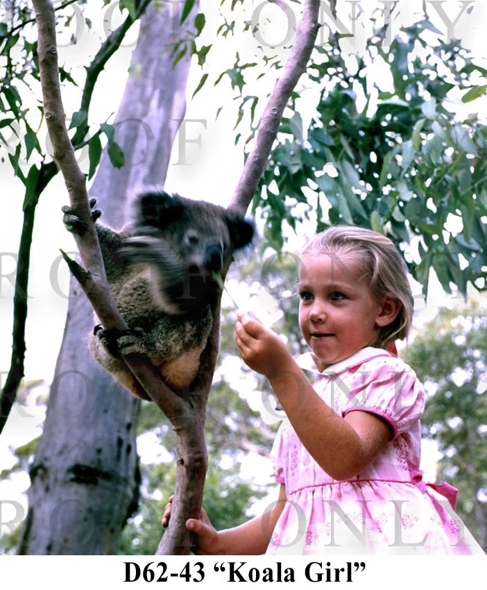 Family Nics Little Mate 1967  D62-43.jpg