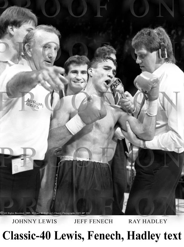 D28-1 Fenech, Lewis & Hadley text copy.jpg