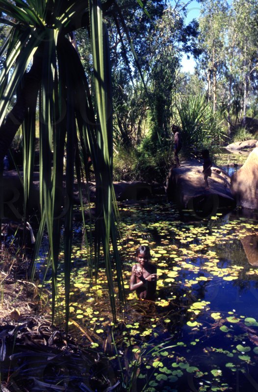 D17-80Aust; Billabong