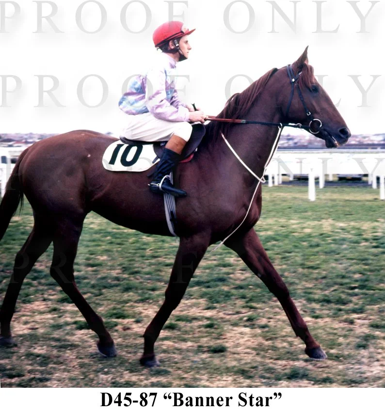 Barrier Star D45-87.jpg