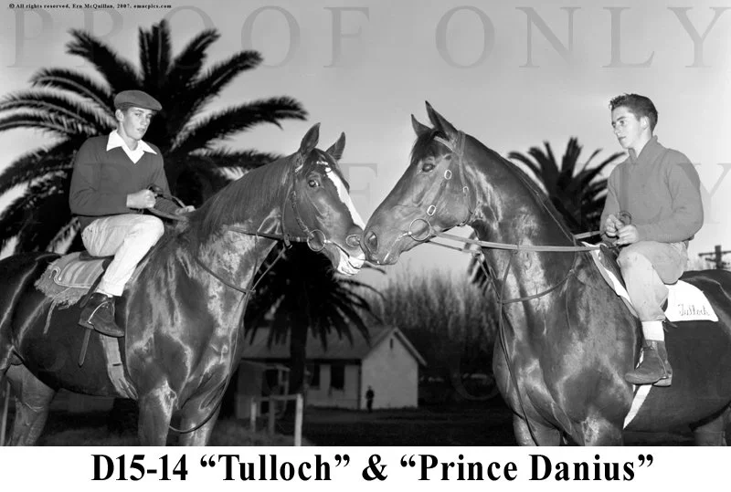 D15- 14 Tulloch & Prince Darius.jpg