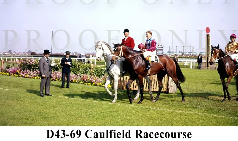 Caulfied Racecourse  D43-69.jpg