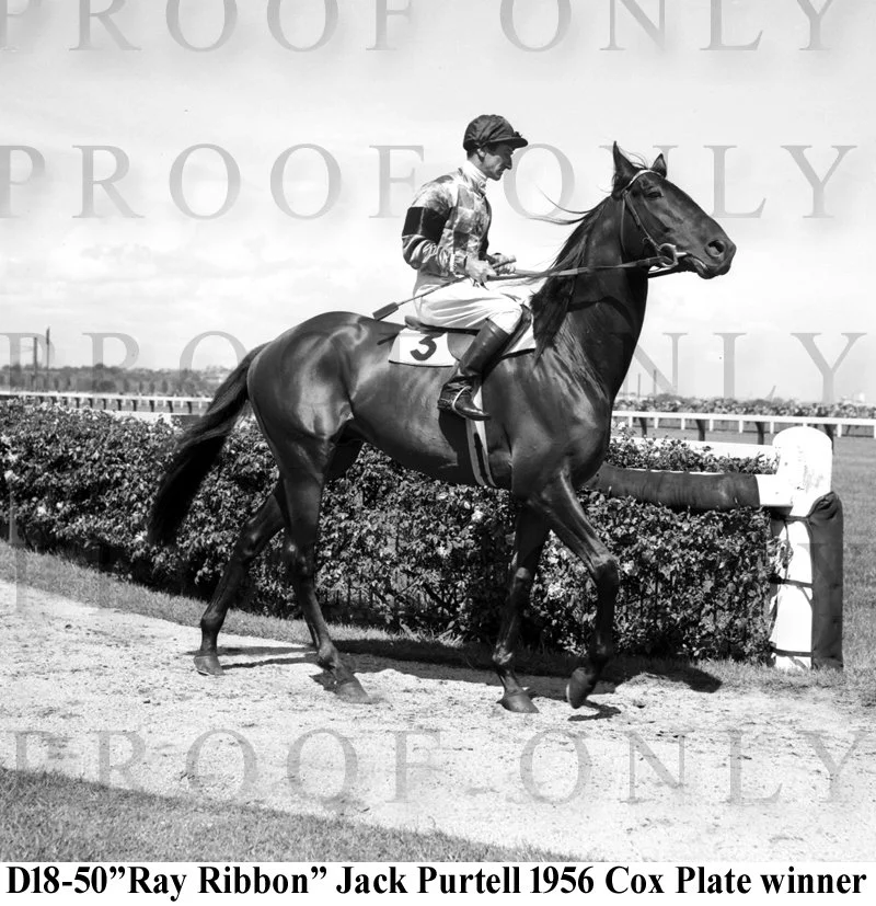 D18- 50 Ray Ribbon- Jack Purtell, 1956 Cox Plate winner.jpg