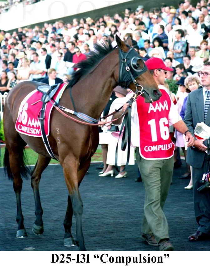 D25-131 Compulsion.jpg