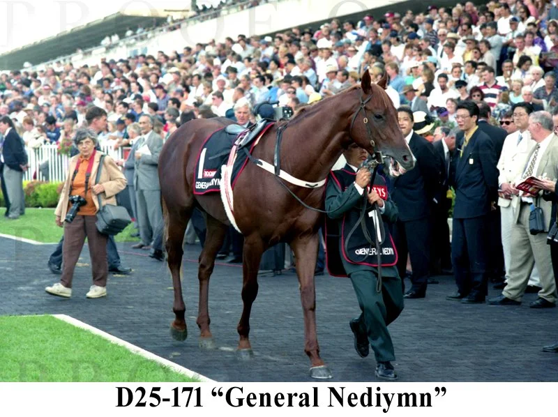 D25-171 General Nediymn.jpg