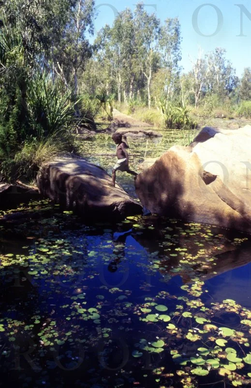 D17-85 Aust; Water Lilly Leap