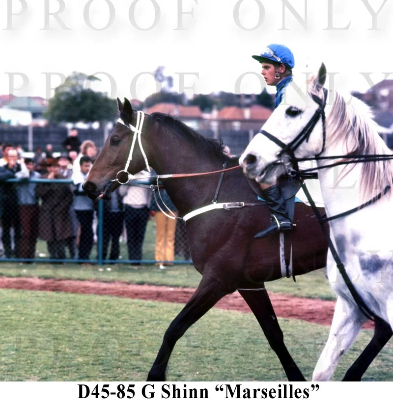 Marseilles G Shinn D45-85.jpg