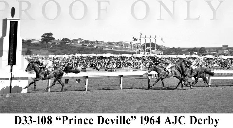 AJC Derby 1954 Prince Deville D33-108.jpg