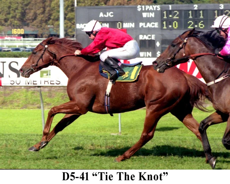 D5-41 Tie The Knot.jpg