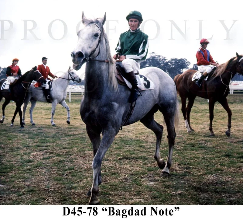 Bagdad Note D45-78.jpg