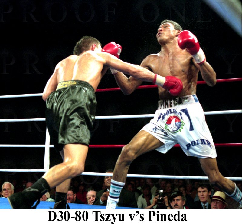 D30-80 Kosta Tszyu v's Pineda.jpg