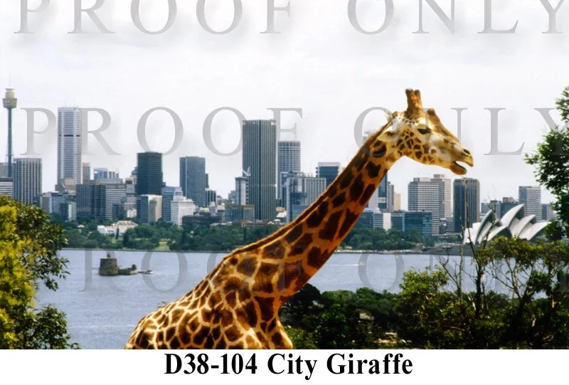 City Giraffe D38-104.jpg