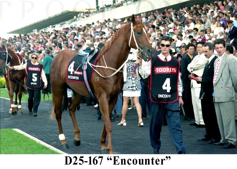 D25-167 Encounter.jpg