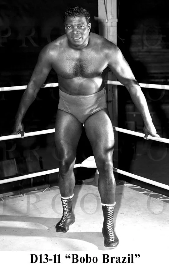 D13-11 Bobo Brazil.jpg